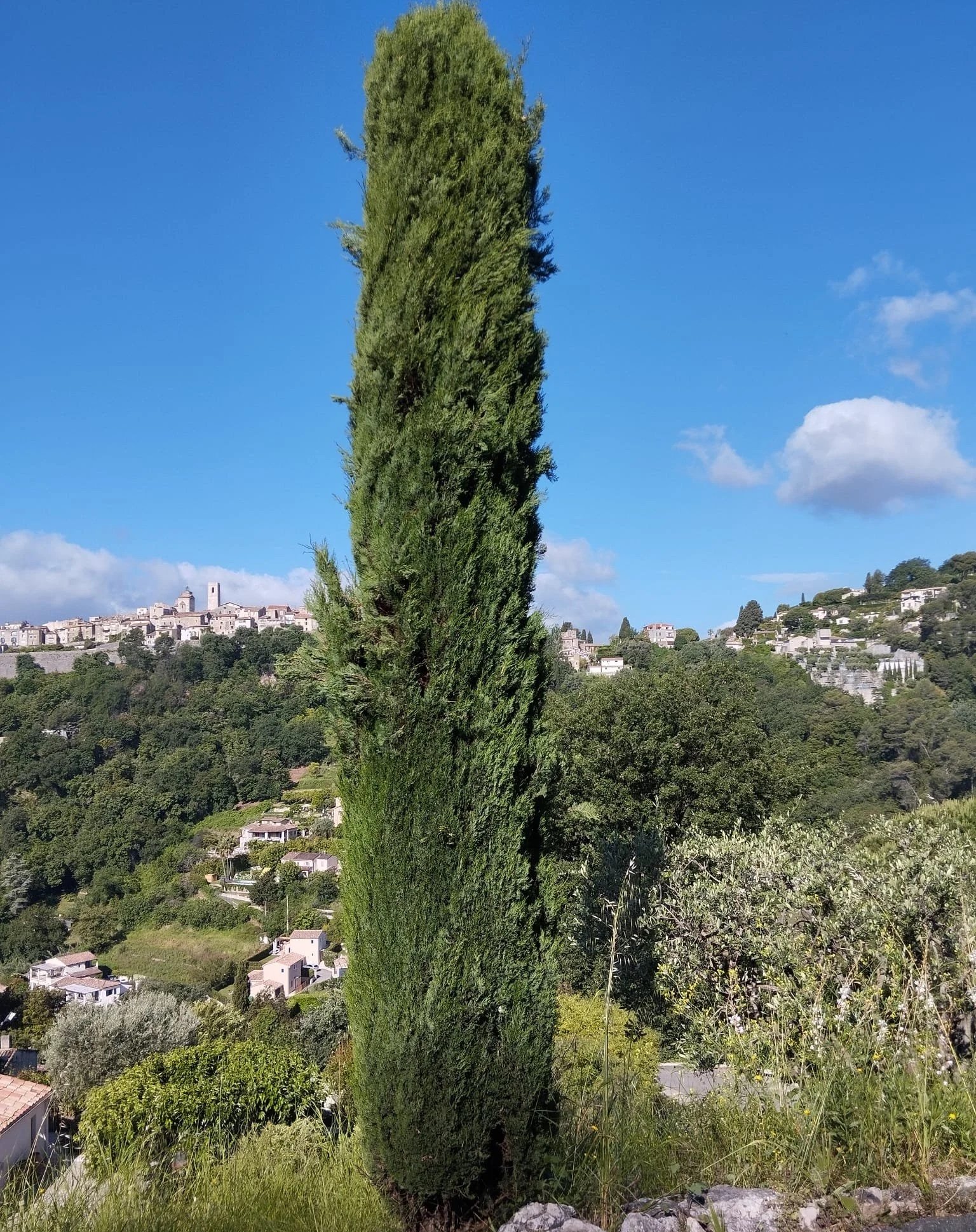 Jardin méditerranéen entretenu, Alpes-Maritimes