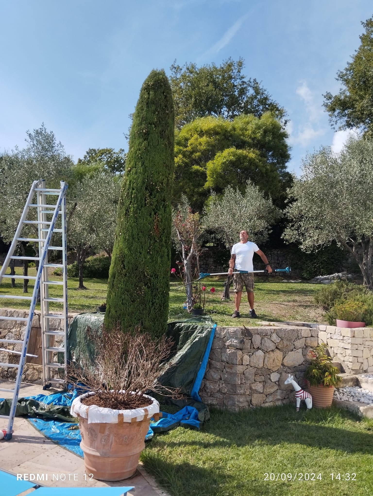 Jardin méditerranéen avec cyprès et oliviers